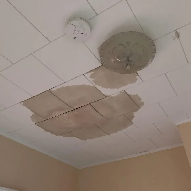 Ceiling Water Damage Repair in Knox County, ME